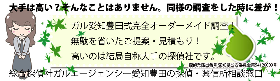 【2】豊田市 浮気調査オーダー
