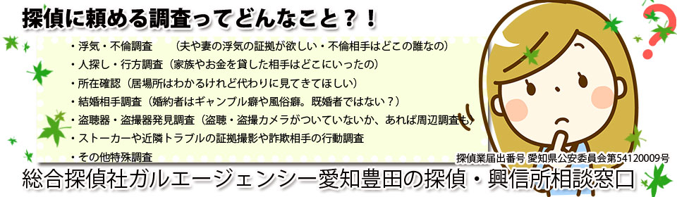 【4】三河豊田 結婚調査・婚約者調査・DV・婚姻費用請求